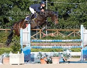 LUPINO Biricchina bella GioCav2013 S6 7562 : Biricchina bella, Campionati Italiani Giovani Cavalli, Cattolica, LUPINO NICO, ph Stefano Secchi ©
